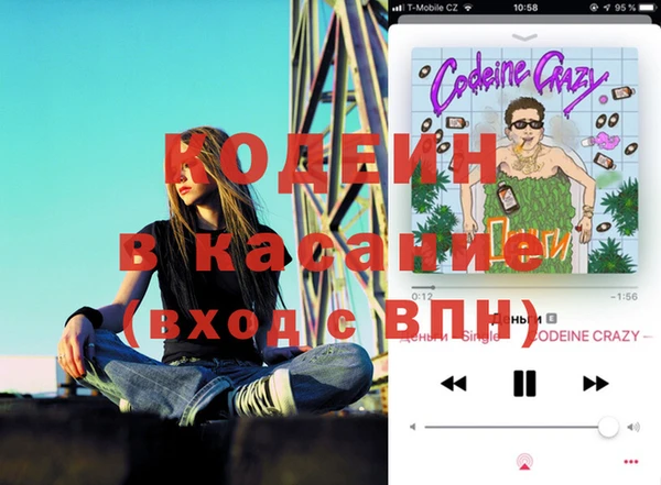 сатива Волосово
