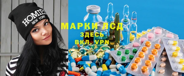 сатива Волосово