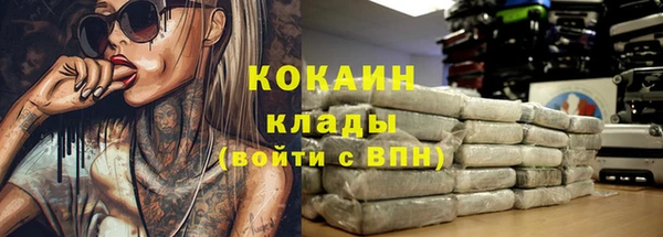 сатива Волосово